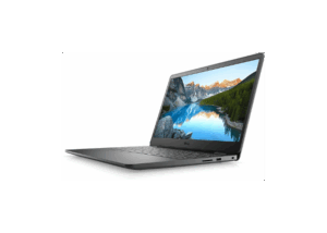Dell Inspiron 3501
